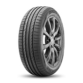 205/55 R17XL Roadking Argos UHP 95W