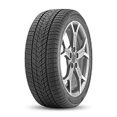245/55 R19XL Arivo Winmaster ProX ARW5 107H